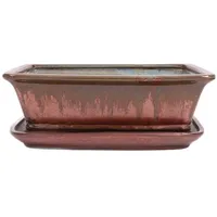 Bonsai-Shopping Bonsai - Schale eckig 32.5 x 25.5 x