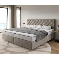 DeLife Boxspringbett Dream-Great Mikrofaser Beige 200x200 cm Bonell-Matratze PU-Topper