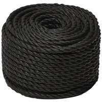 VidaXL Arbeitsseil Schwarz 20 mm 50 m Polypropylen