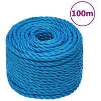 VidaXL Arbeitsseil Blau 24 mm 100 m Polypropylen