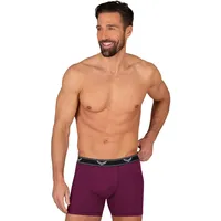 TRIGEMA Boxer »TRIGEMA Bequeme Pants mit Webgummibund«, (1 St.),