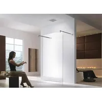 Glaszentrum Hagen Walk-in-Dusche Glaszentrum Hagen "Jade" 28x200cm 10mm Freistehende