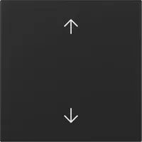 Gira Wippschalter 3616005
