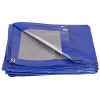 Proregal Profi-Abdeckplane 140 g/m2, 5x8m, Blau - Blau