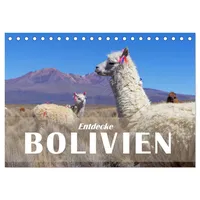 Calvendo Entdecke Bolivien (Tischkalender 2025 DIN A5 quer) CALVENDO