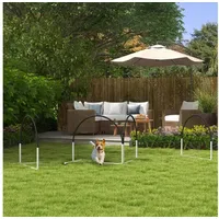 PawHut Agility Set 4-teilig Schwarz