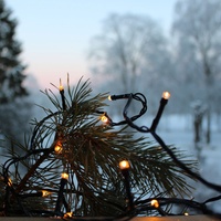 Star Trading LED-Lichterkette 40 LEDs 594-17-1