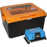 LIONTRON SET LIONTRON LiFePO4 Akku 12,8V 150Ah Untersitz +