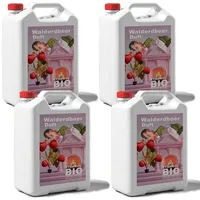 DTPSOFT Bioethanol Premium 100% Walderdbeerduft 20 Liter