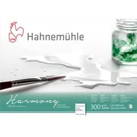 Hahnemühle Harmony Aquarell A 4 satiniert 12 Blatt 300