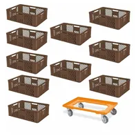 BRB-Lagertechnik BRB 10 Euroboxen, 600x400x240 mm, braun, lebensmittelecht +