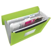 Esselte VIVIDA, A4 PP, 6 Fächer, grün