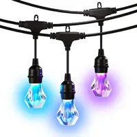Nanoleaf Essentials Matter Smart Multicolour Outdoor String Light Starter