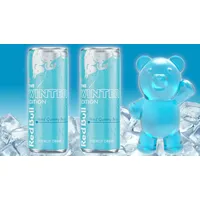 Red Bull The Winter Edition Iced Vanilla Berry Einweg
