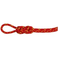 Mammut Alpine Core Protect Dry 8 Mm Seil -