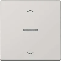 Jung eNet Taster Standard 1fach Duroplast mit Pfeilsymbol, lichtgrau