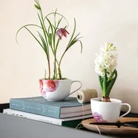Villeroy & Boch Rose Garden 300 ml Rosa -
