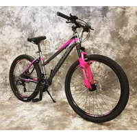 Generisch 24 Zoll ALU Damen MTB Gefedert mit 21-Gang