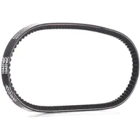 DAYCO 10A0740C Gürtel