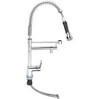 Rosenstein & Söhne Profi-Gastro-Armatur mit Einhand-Mischbatterie