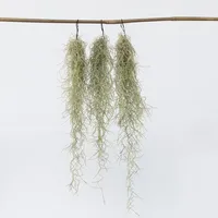 Plant in a Box - Spanisches Moos - 3