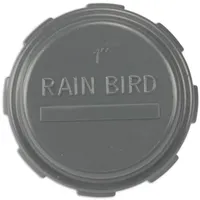 Rain Bird PVC Gewindekappe grau - 1 Zoll IG