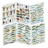 Sub-base Logbuchsysteme Fischfaltblatt Süsswasser Fischbestimmungskarte
