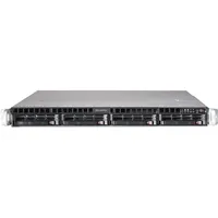Bluechip SERVERline R31309s (32 GB, Rack Server), Server