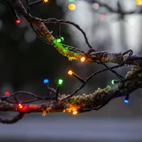 Star Trading LED-Lichterkette 'Flashy', 100 bunte LED - Bunt