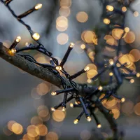 Star trading deutschland gmbh LED-Lichterkette 'Flashy', 800 warmweiße LED