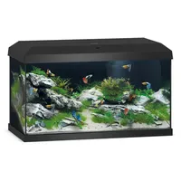 JUWEL AQUARIUM Primo 60 LED 2.0 Schwarz