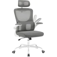 Woltu Bürostuhl ergonomisch, Schreibtischstuhl Netzstoff, höhenverstellbar : Grau Farbe: