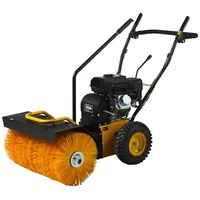 TEXAS Kehrmaschine Handy Sweep 619TG
