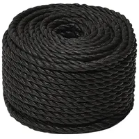 VidaXL Arbeitsseil Schwarz 12 mm 500 m Polypropylen