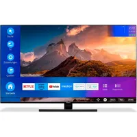 Medion X15574 (MD 30987) 55" QLED 4K UHD Smart