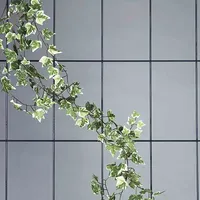 Siena Garden Siena Garden, Spalier 5strebig 150x75cm, 763758