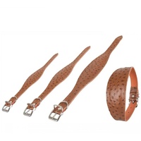 Karlie Hunde-Halsband Karlie Windhund-Halsband Ventus Länge / Farbe: 55cm