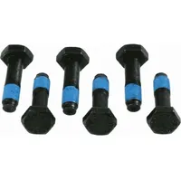 Sachs Schraubensatz, Schwungrad