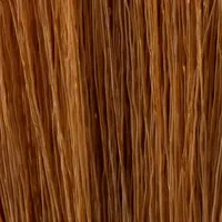 Insight Incolor Hydra-Color Cream 8,34 golden coppery light blond