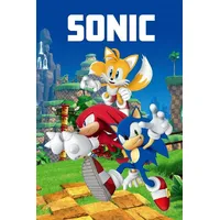 Jerry Fabrics Fleecedecke Tagesdecke Kuscheldecke Sonic Knuckels Miles Prower
