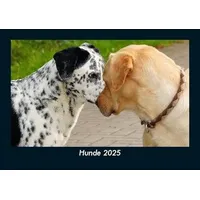 Vero Kalender Hunde 2025 Fotokalender DIN A5
