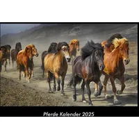 Vero Kalender Pferde Kalender 2025 Fotokalender DIN A3