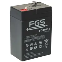 Fiamm Akku passend Horizont FGS 6V 4,5Ah Euro-Blitz compact