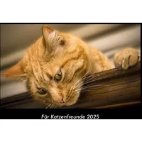 Vero Kalender Für Katzenfreunde 2025 Fotokalender DIN A3