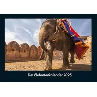 Vero Kalender Der Elefantenkalender 2025 Fotokalender DIN A4