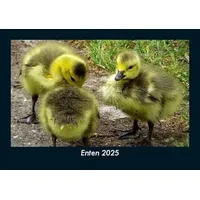 Vero Kalender Enten 2025 Fotokalender DIN A5 Tobias Becker
