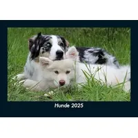 Vero Kalender Hunde 2025 Fotokalender DIN A5