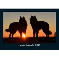 Vero Kalender Hunde Kalender 2025 Fotokalender DIN A5