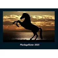 Vero Kalender Pferdegeflüster 2025 Fotokalender DIN A4