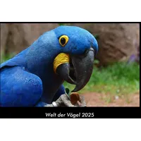 Vero Kalender Welt der Vögel 2025 Fotokalender DIN A3